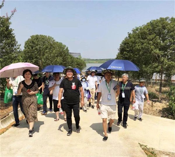 第三站: 武汉林业集团有限公司武湖花卉产业化基地/柏泉基地