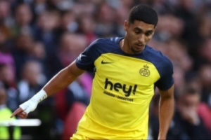 记者：水晶宫敲定哈莱利，转会费约2500万欧元
